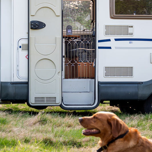 DOG-G8 for Motorhome/Caravan